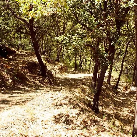 Le Oreadi Alloggio per agriturismo *